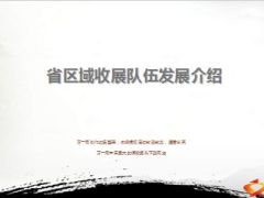 省区域收展队伍发展介绍68页.ppt
