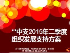 中支2015年二季度组织发展支持方案16页.ppt