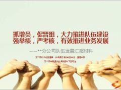 分公司分享队伍发展对业务发展的有效拉动举措45页.ppt