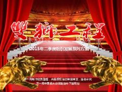 2015年二季度组织发展系列方案21页.ppt