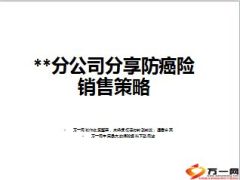 国寿分公司分享防癌险销售策略23页.ppt