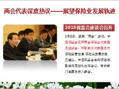 2015两会代表深度热议展望保险业发展轨迹12页.ppt