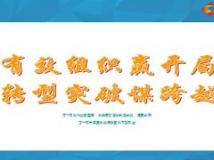支公司经验分享转型突破谋跨越22页.ppt