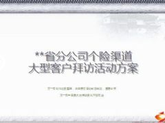 省分公司个险渠道大型客户拜访活动方案12页.ppt