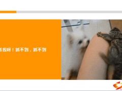 每日快乐早会15年3月18日使用15页.ppt