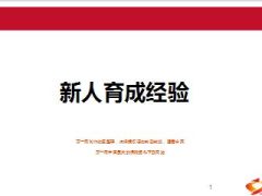 新人育成经验浅析14页.ppt