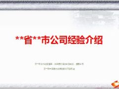 市公司经验介绍放大格局塑目标强化发展意愿10页.ppt