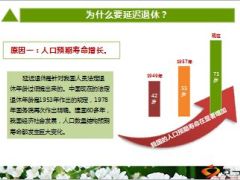 延迟退休时间表敲定有哪些意想不到的变化11页.ppt