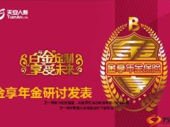 天安人寿金享年金背景篇产品篇营销篇27页.ppt