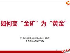 如何让金矿变黄金客户开拓26页.ppt