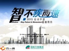 2015青岛世界华人保险大会宣导31页.ppt