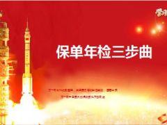 保单年检三步曲33页.ppt