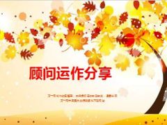 顾问聘任经营困惑典范运作流程32页.ppt