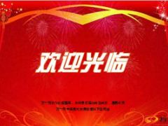 2015年养老产说会新华福享一生65页.ppt