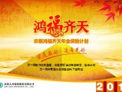 农银人寿鸿福齐天产品简要特点40页.ppt