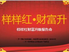 财富升级报告会产说会太保样样红55页.ppt
