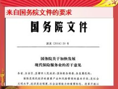 中国人寿鑫如意停售宣导最后的疯狂55页.ppt