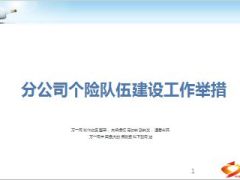 分公司个险队伍建设工作举措21页.ppt