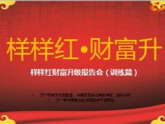 财富升级报告会训练篇太保样样红22页.ppt
