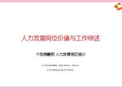 人力发展岗位职责定位价值任职要求50页.ppt