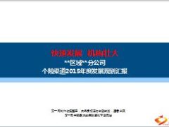分公司个险渠道2015年度发展规划汇报关键举措18页.ppt