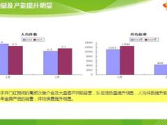 个险渠道2015年开门红一季度工作小结二季度工作规划19页.ppt