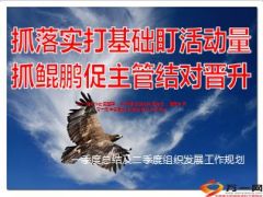 2015一季度总结及二季度组织发展工作规划42页.ppt