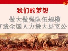 支公司队伍建设工作成效整体思路工作举措34页.ppt