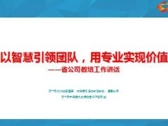 以智慧引领团队用专业实现价值25页.ppt