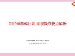 组经理养成计划面谈操作要点解析48页.ppt