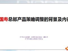 国寿产品策略调整的背景及内容14页.ppt