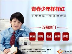 太平洋人寿青春少年老年配备与讲解16页.ppt