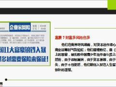 中国11大富豪锒铛入狱钱越多越需要保险来保证18页.ppt