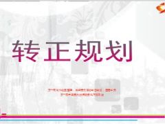 转正规划培训21页.ppt