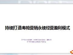 农村寿险市场需求潜力团队困惑19页.ppt