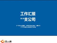 支公司汇报下阶段工作目标举措15页.ppt