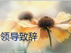 产品说明会酒会流程13页.ppt