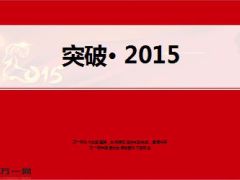 突破2015保险行业信心篇22页.ppt