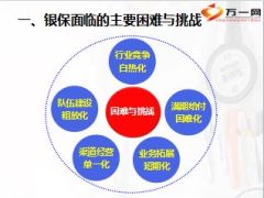 银保面临的主要困难与挑战11页.ppt
