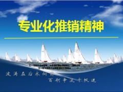 专业化推销精神24页.ppt