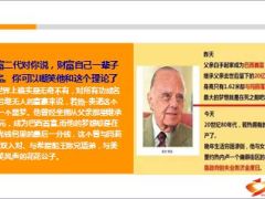 20亿美金富二代破产29页.ppt