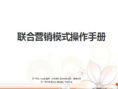 银保联合营销操作模式16页.ppt