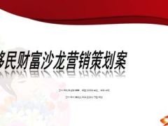 移民财富沙龙营销策划案银行保险26页.ppt