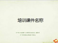 县公司分享如何去追踪督导10页.ppt