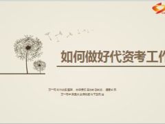 如何做好代资考工作17页.ppt
