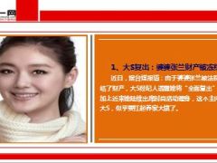 老公有难女星复出保险不配好富商豪门说倒就倒19页.ppt