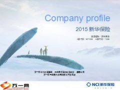 新华保险2015版公司简介介绍29页.ppt