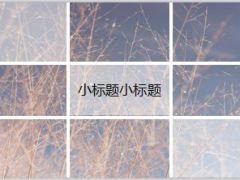 小清新文艺风唯美PPT模板8页.ppt