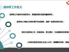 退转保实时转保及非实时转保操作流程31页.ppt