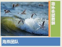 新华孙海燕团队管理分享14页.ppt